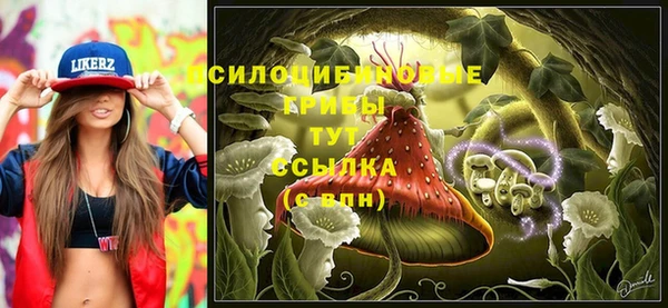 соль курить ск Алзамай