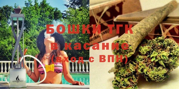 прущие грибы Покачи