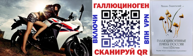 Галлюциногенные грибы прущие грибы  Камбарка 