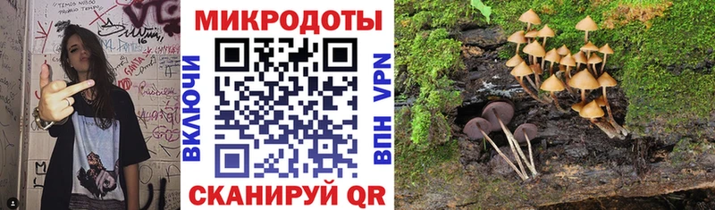 Псилоцибиновые грибы GOLDEN TEACHER Камбарка